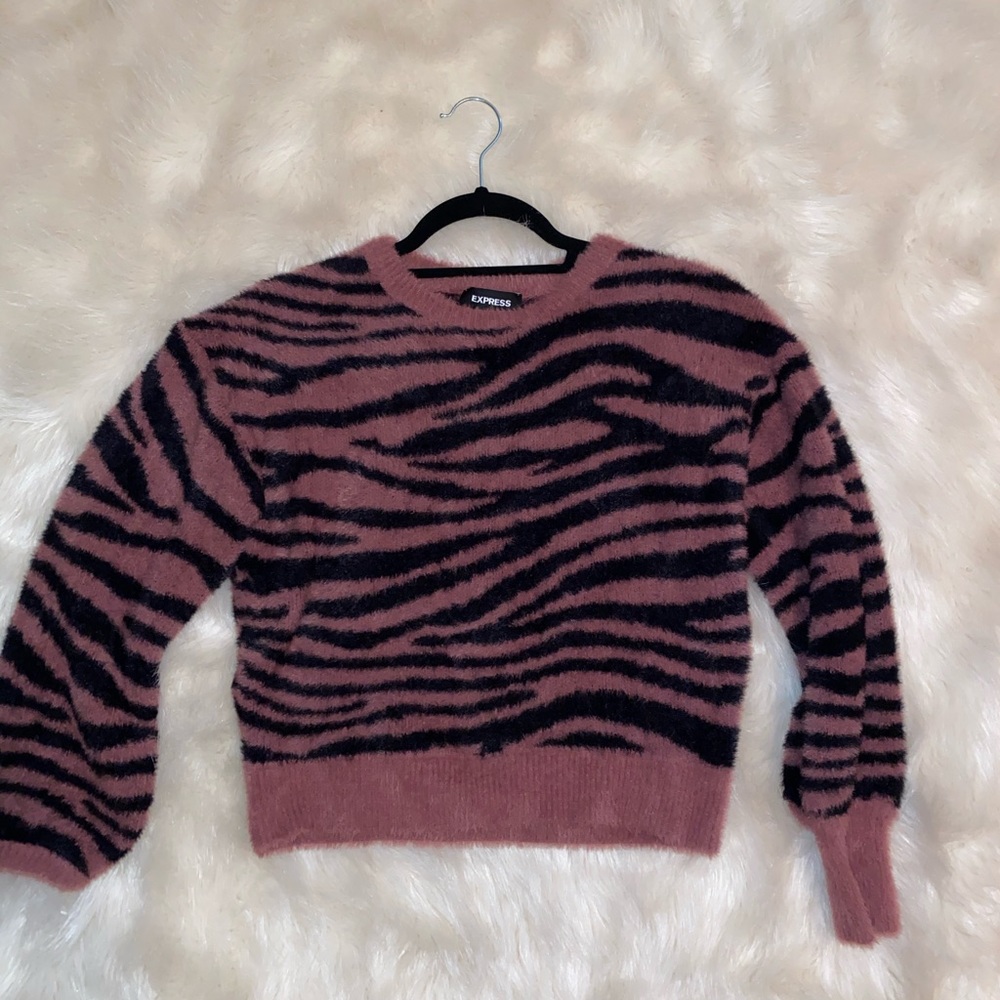 Express Slight Cropped Sweater